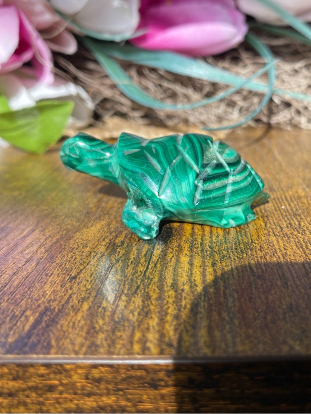 Small Malachite Turtle